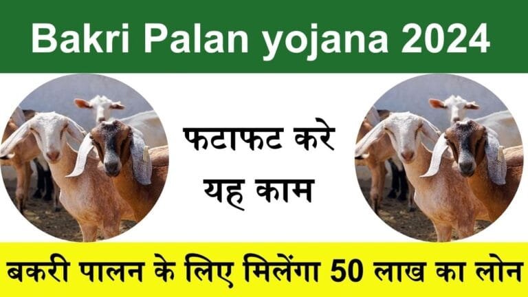 Bakri Palan Yojana : बकरी पालन के लिए मिलेंगा 50 लाख रूपये तक का लोन प्रोसेस भी कम फटाफट करे यह काम देखे डिटेल