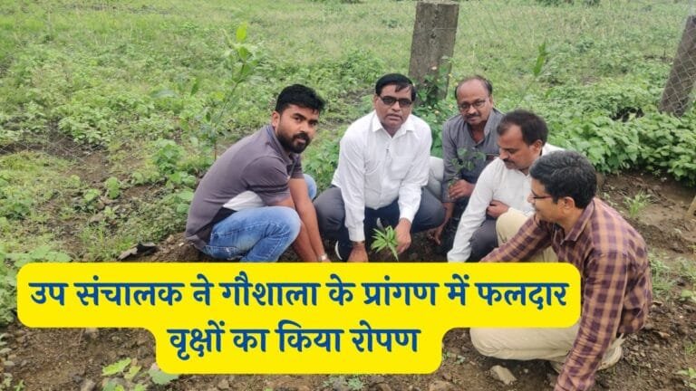 Pandhurna News : उप संचालक ने गौशाला के प्रांगण में फलदार वृक्षों का किया रोपण गौशाला की आय बड़ाने के दिए निर्देश।