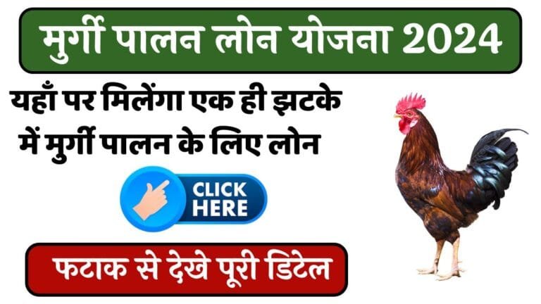 Murgi Palan Loan : यहाँ पर मिलेंगा एक ही झटके में मुर्गी पालन के लिए लोन फटाक से देखे पूरी डिटेल