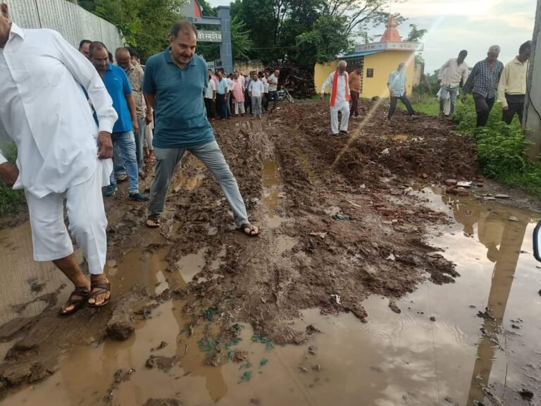 Harda News : शहर की बदहाली पर नगर पालिका का ध्यान नहीं, मुक्तिधाम तक पहुंचने में आम जनता को हो रही भारी परेशानी