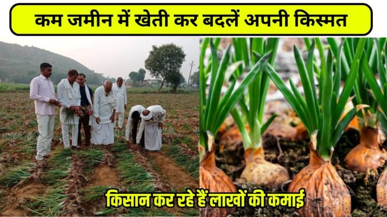कम जमीन में खेती कर बदलें अपनी किस्मत, किसान कर रहे हैं लाखों की कमाई