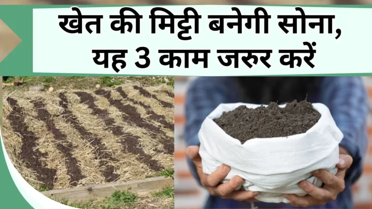 खेत की मिट्टी को सोना बना देंगे ये 3 काम
