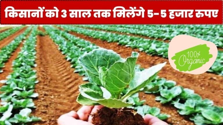 मामा के कृषि मंत्री बनते ही MP के किसानों को मिलेंगे 5000 रूपए साल,सरकार ने लाई जबरदस्त योजना