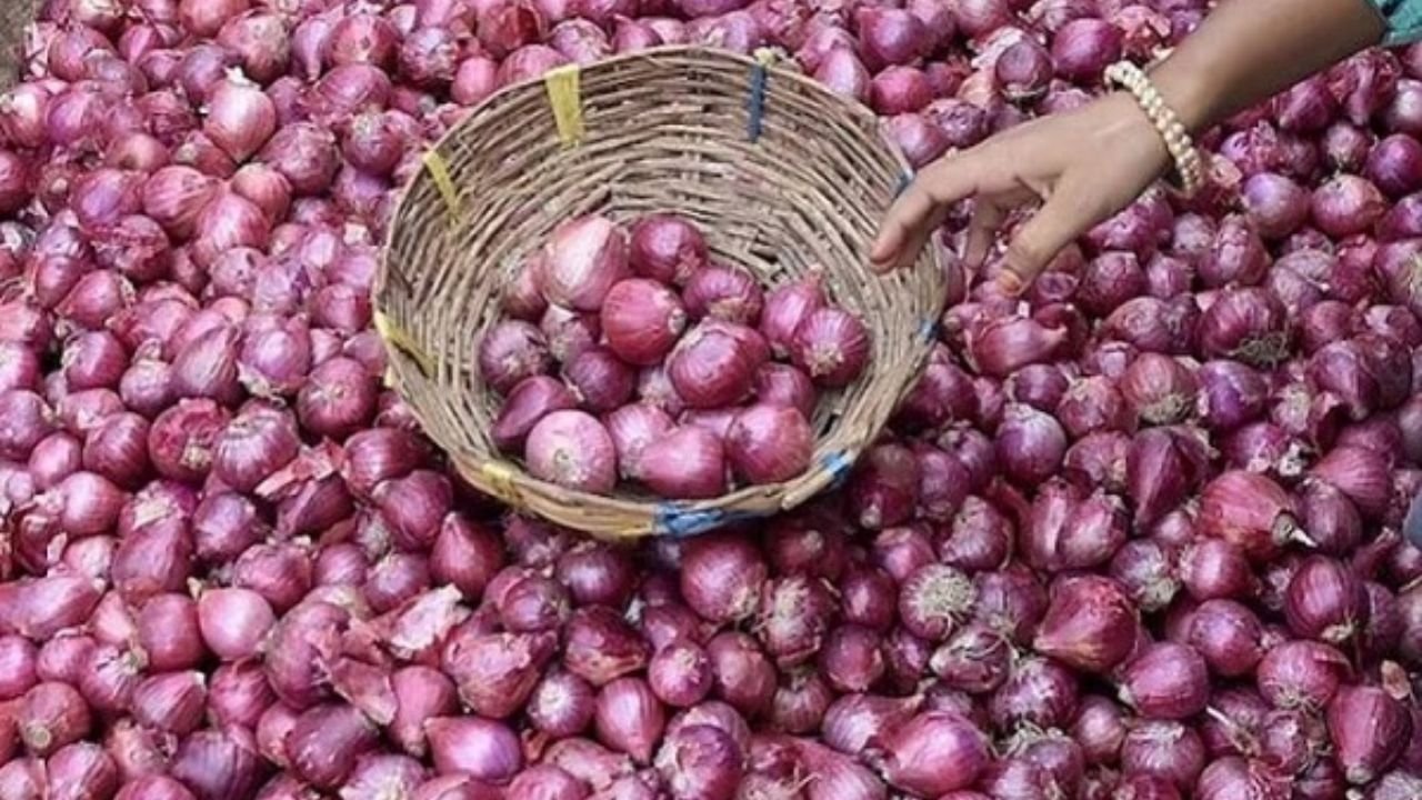 Onion Price: प्याज की कीमते छूं रही आसमान, जाने क्या रहेंगे आगामी दिनों में दाम