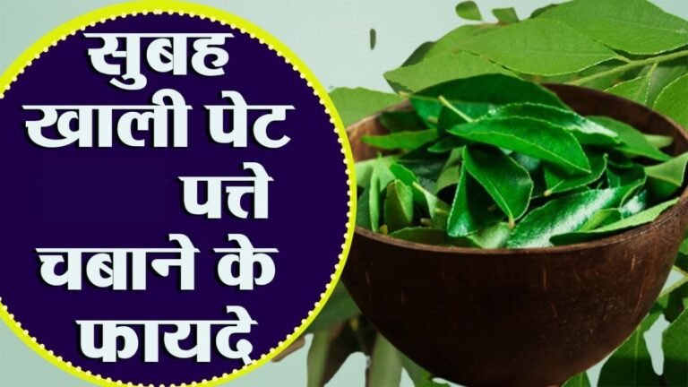 मोटापे को कम करने का रामबाण इलाज है इस पौधे का पत्ता, बस खाली पेट कर ले इसका सेवन दिखेगा चमत्कार