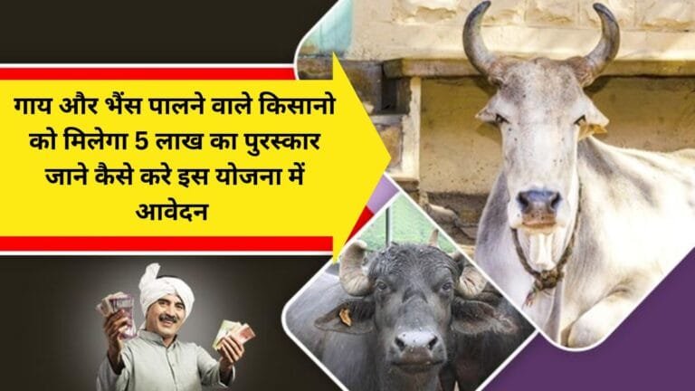 गाय और भैंस पालने वाले किसानो को मिलेगा 5 लाख का पुरस्कार जाने कैसे करे इस योजना में आवेदन