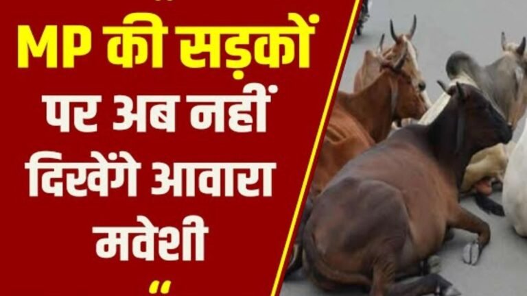 2000 लोगो को नौकरी देगी मध्य प्रदेश सरकार, आवारा पशुओं को पकड़ने के लिए बनेगी टीम जाने कितनी मिलेगी सैलेरी