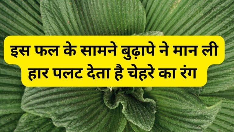 इस फल के सामने बुढ़ापे ने मान ली हार पलट देता है चेहरे का रंग हड्डियों को बनाता है बाहुबली, जाने इसका नाम