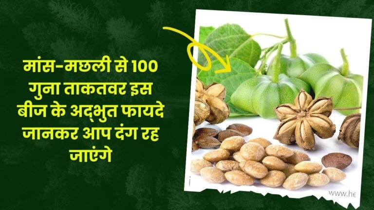मांस-मछली से 100 गुना ताकतवर इस बीज के अद्भुत फायदे जानकर आप दंग रह जाएंगे