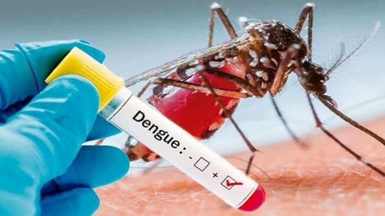 Dengue: डेंगू ने मचाया कहर,जबलपुर सहित अन्य जगहों पर मिले पॉजिटिव मरीज