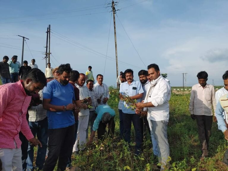 Betul News: कांग्रेस जिलाध्यक्ष हेमंत वागद्रे ने सोयाबीन की फसलों को लेकर प्रदेश सरकार को घेरा, मुआवजा नहीं मिलने पर आंदोलन की दी चेतावनी