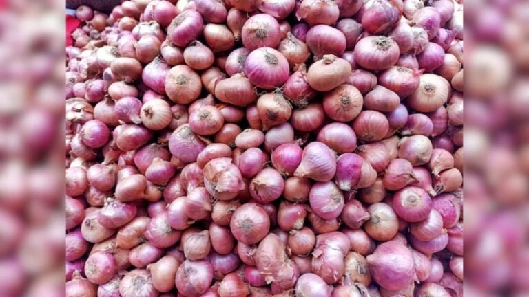 Onion Price: बड़ी खबर ! सरकार ने प्याज पर निर्यात ड्यूटी घटाई , जाने क्या हो सकते है नए रेट