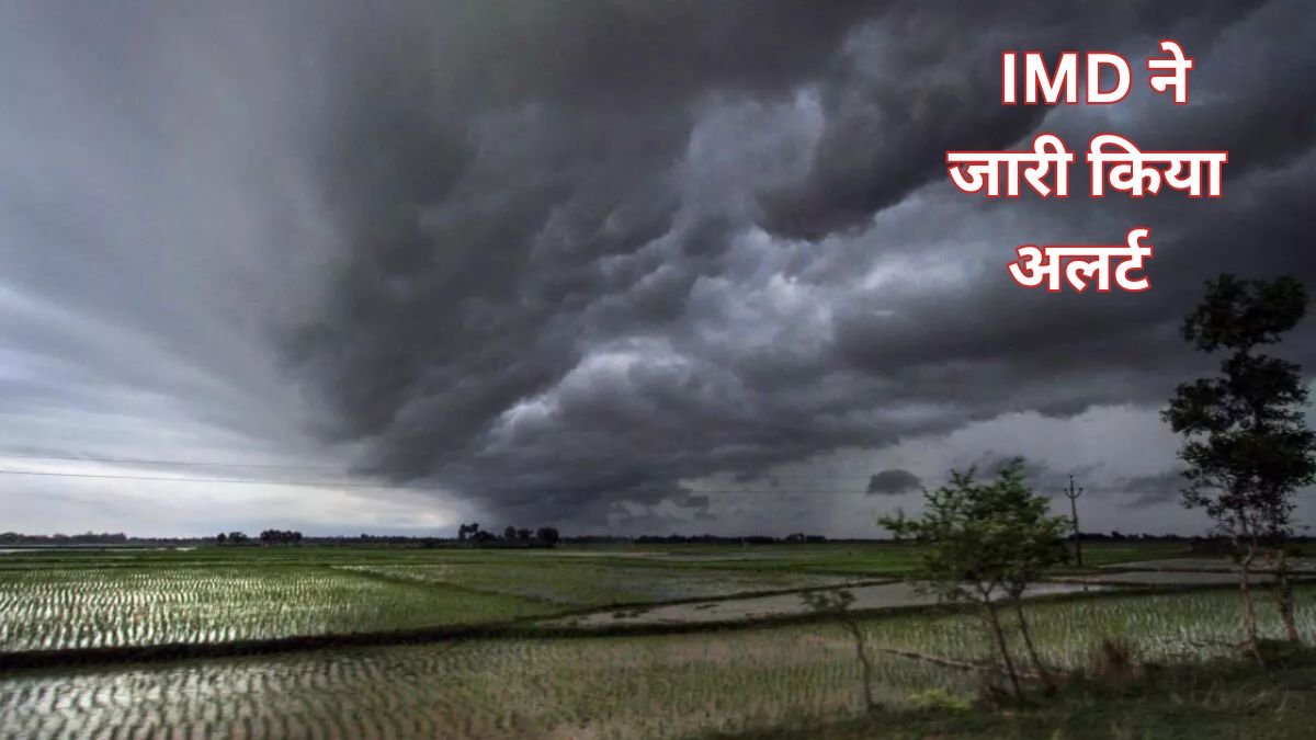 Mousam Update: 24 घंटे में फिर लौटेगी भारी बारिश, नदियां पहुंची लाल निशान से ऊपर IMD ने जारी किया अलर्ट