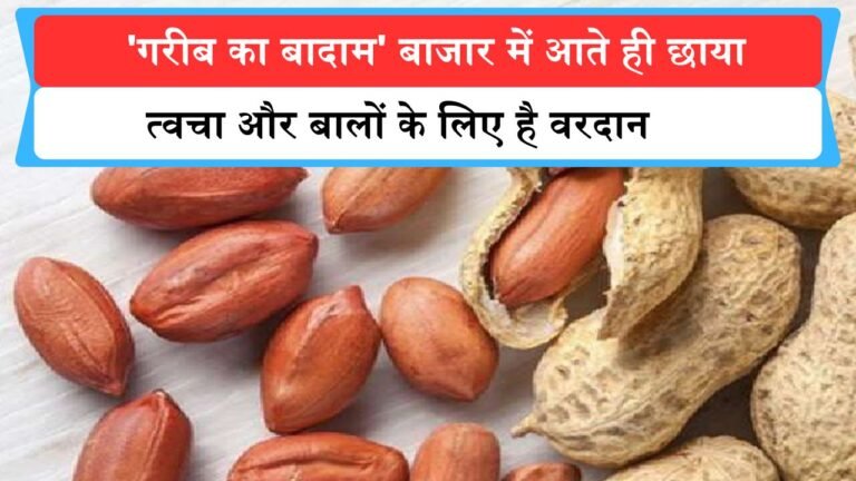 'गरीब का बादाम' बाजार में आते ही छाया, त्वचा और बालों के लिए है वरदान, सेहत का खजाना