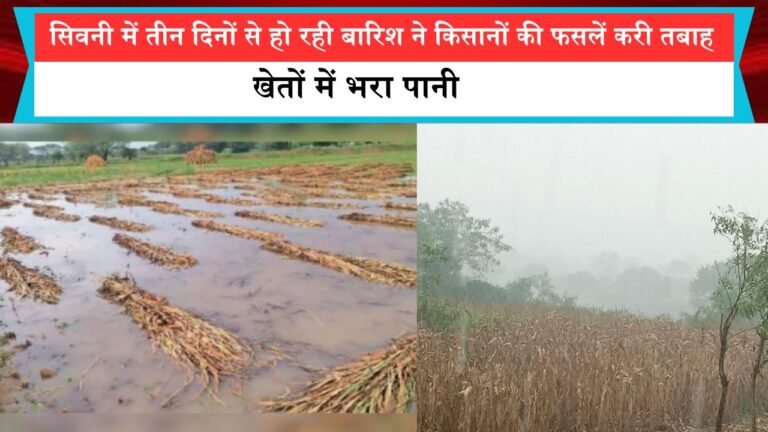 सिवनी जिले में तीन दिनों से हो रही बारिश ने किसानों की फसलें करी तबाह, खेतों में भरा पानी