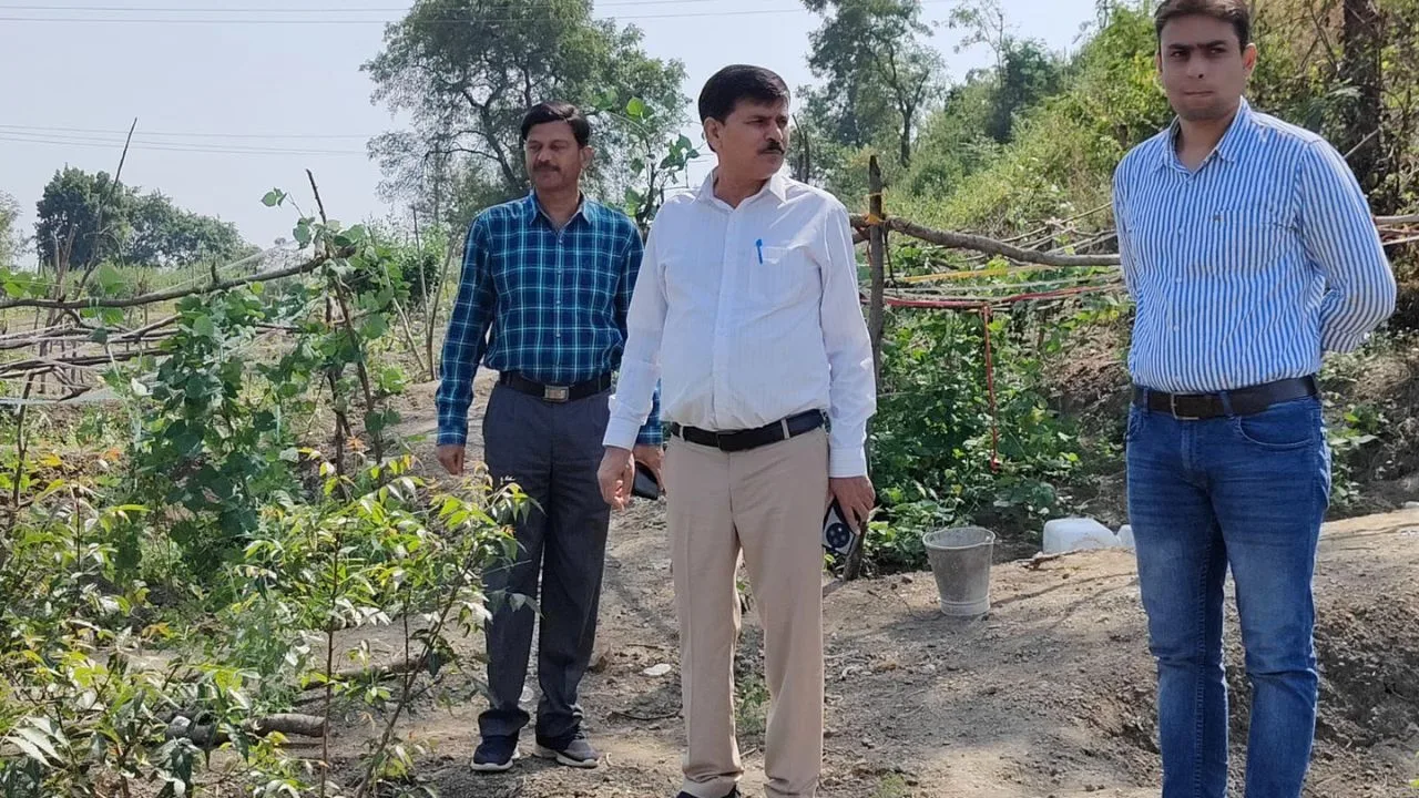 कलेक्टर अजय देव ने ग्राम पंचायत सिवनी में मनरेगा से संचालित सामुदायिक पोषण वाटिका का किया निरीक्षण