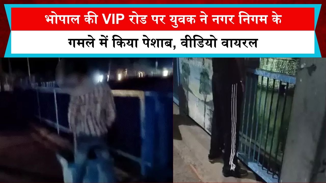 भोपाल की VIP रोड पर युवक ने नगर निगम के गमले में किया पेशाब, वीडियो वायरल