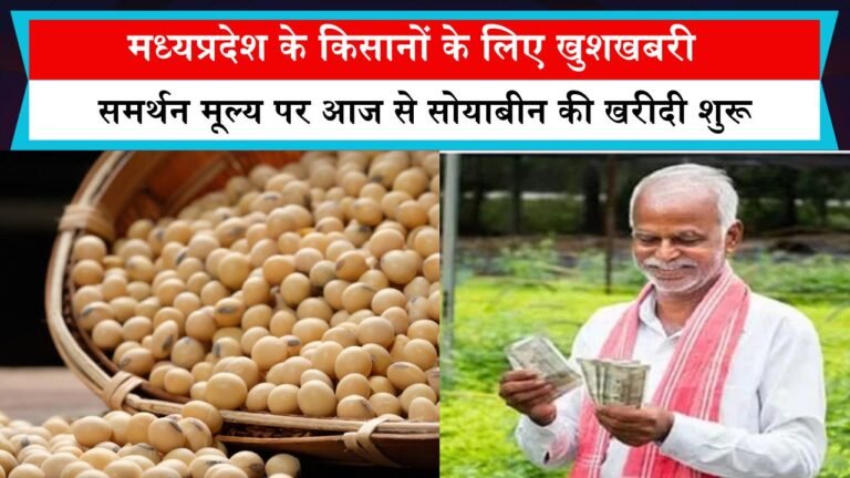मध्यप्रदेश के किसानों के लिए खुशखबरी, समर्थन मूल्य पर आज से सोयाबीन की खरीदी शुरू