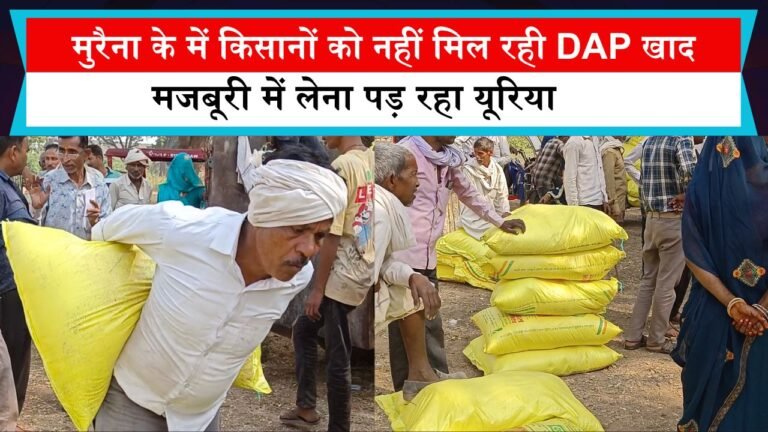 मुरैना के सबलगढ़ में किसानों को नहीं मिल रही DAP खाद, मजबूरी में लेना पड़ रहा यूरिया
