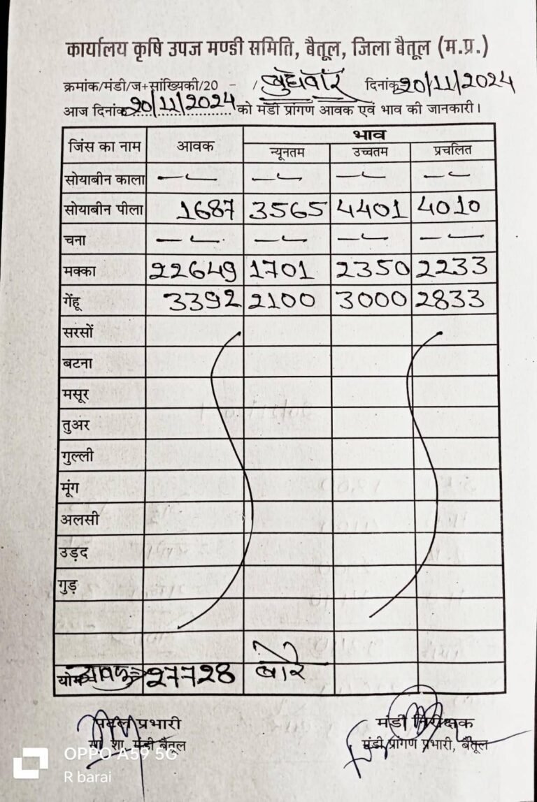 Betul Mandi Bhav 20 November 2024