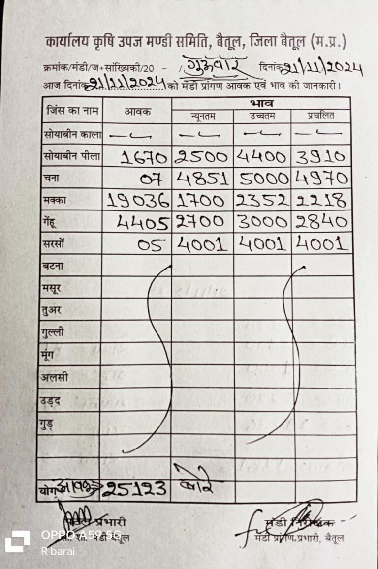 Betul Mandi Bhav: बैतूल मंडी भाव में उतार-चढ़ाव, किसानों की चिंता बढ़ी, गेहूं, मक्का, सोयाबीन के दाम में गिरावट