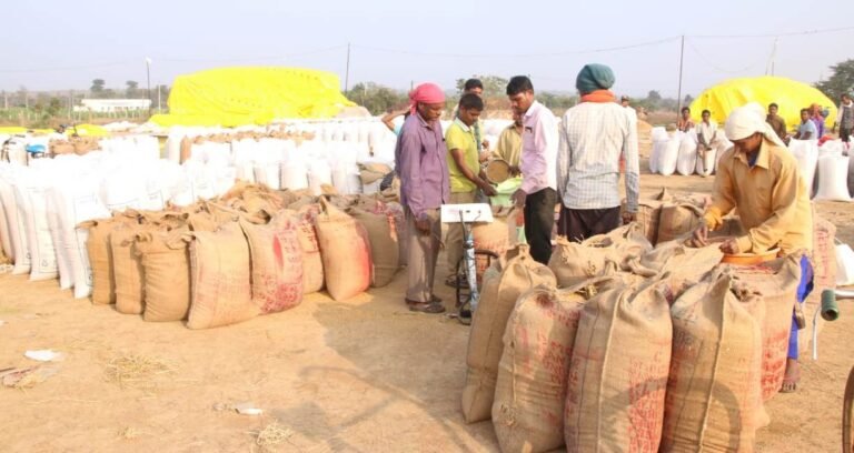 Mp News: किसानों के लिए खुलेंगे 1412 धान और 104 मोटे अनाज केंद्र, अब बेचें बिना परेशानी के