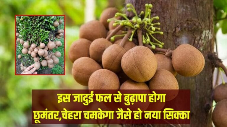 इस जादुई फल से बुढ़ापा होगा छूमंतर, हड्डियां बनेंगी लोहा,चेहरा चमकेगा जैसे हो नया सिक्का