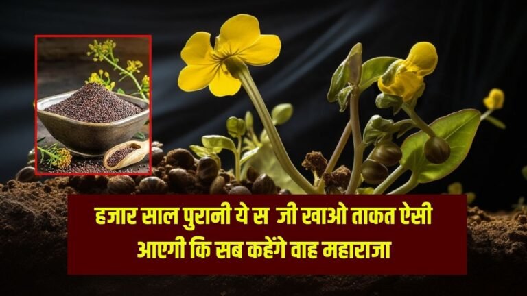 हजार साल पुरानी ये सब्जी खाओ ताकत ऐसी आएगी कि सब कहेंगे वाह महाराजा
