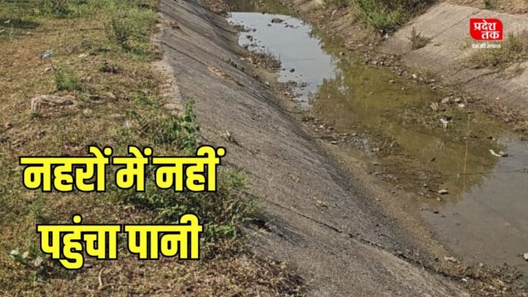 एक हफ्ते बाद भी नहरों में नहीं पहुंचा पानी, किसान परेशान: कांग्रेस नेता ओम पटेल