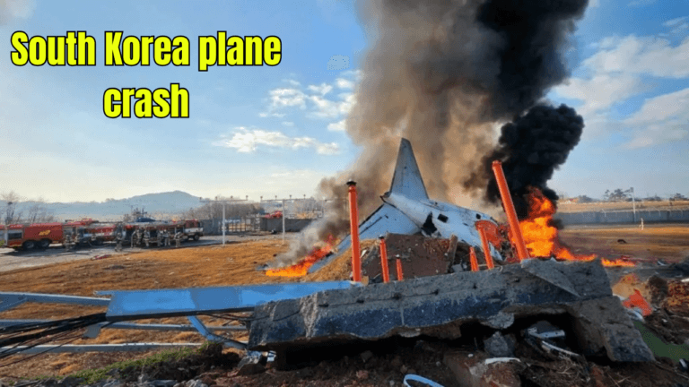 South Korea plane crash: Plane skids on runway after landing gear malfunctions, watch video