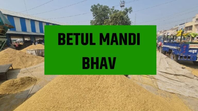 Betul Mandi Bhav