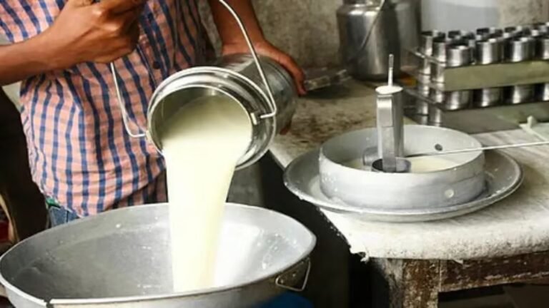 गर्मी के साथ बढ़ी महंगाई की मार, दूध की कीमतों में आया उछाल जाने क्या हो गए रेट